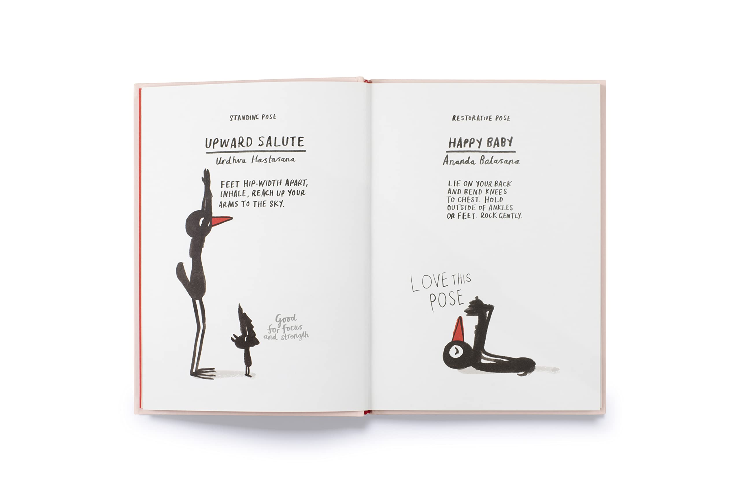 Yoga for Stiff Birds bog
